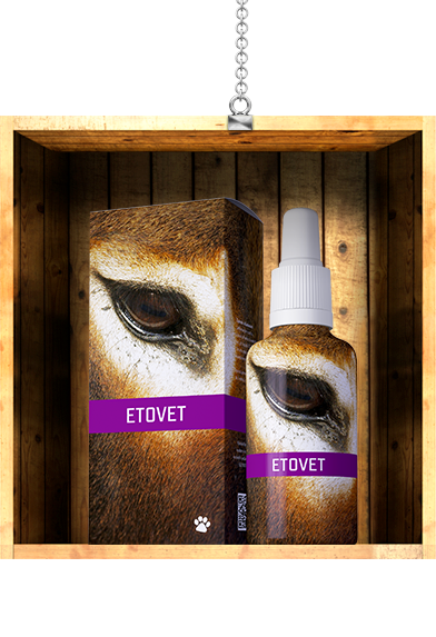 Etovet